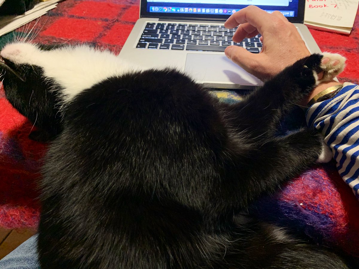 MagnersFarm's tweet photo. Trying to get accounts done... 🙄 #fluffymario https://t.co/M11dUgQz4w