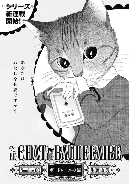 \クッキー1月号/【ボードレールの猫/生藤由美】🎊新連載🎊 書店員をしていた「私」は、事故で命を落としてしまう。目がさめると猫になっていた。ある日気になる青年のあとを追うと、素敵な書店が。思わず店内に踏み込む「私」だが…!? 新たな生藤猫まんが、開幕!🐱📖
https://t.co/nrshc86sge 