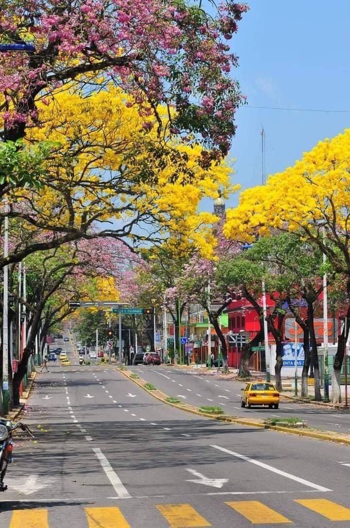 RoadBrook's tweet photo. @mamiRD_ @srone82 @ElisaElisa110 @Saori__M @luizcosta76 @_Carol2018 @dilruba_lees @seaweed115B @NilcinhaLee @MolekoGil @miarianmoreno @CecinhaSanttoS2 @___marcio @Bilal123x @Carla56725378 @__cadu3 #FelizViernesFF
#TheChampionsGroup
#OnlySuperStars⭐️⭐️
@mamiRD_
@ElisaElisa110
@Saori__M
@luizcosta76
@_Carol2018
@dilruba_lees
@seaweed115B
@NilcinhaLee
@MolekoGil
@miarianmoreno
@CecinhaSanttoS2
@___marcio
@Bilal123x
@RoadBrook
@Carla56725378
@__cadu3
🏃♀️🏃🏻♂️🏃♀️ https://t.co/0SbV4qw1Fc