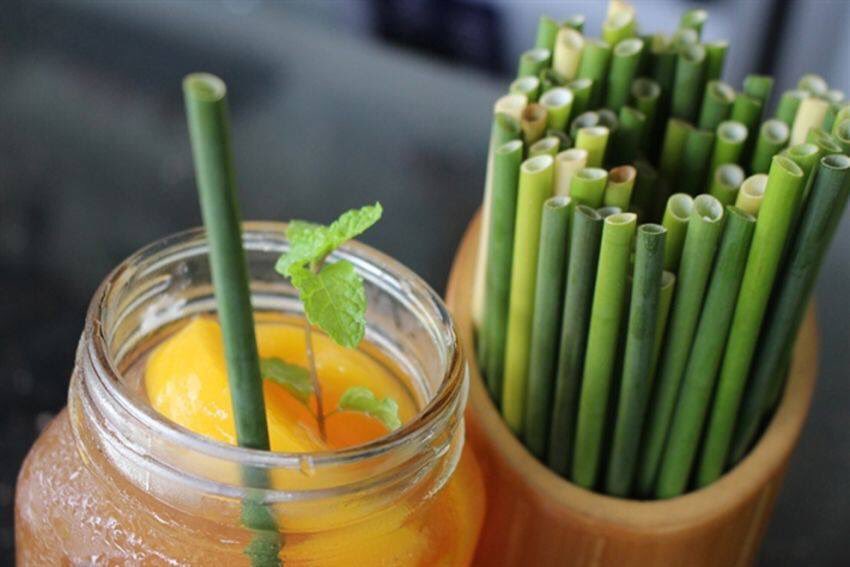 IsskndarAriffin's tweet photo. Tahukah anda?

Ketika dunia semakin menyedari krisis pencemaran plastik, baru2 ini seorang usahawan muda dari Vietnam telah berjaya menghasilkan penyedut minuman atau dikenali sebagai straw yang bersifat biodegrable dari rumput liar dimana ianya bebas bahan kimia dan lebih murah https://t.co/Z8P6rV9Oos