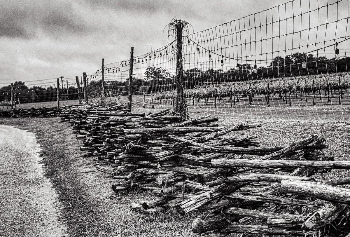IvansRevenge's tweet photo. San Antonio, Texas. Canon t2i with the canon 50mm 1.4
#bw_lover #bwmaster #bw #blackandwhite #bnw #blackandwhitephotography #black #white #Noir #bandw #irox_bw #bwoftheday #Monochrome #monochromatic #bw_lovers #Bw_society #bw_love #bnw_society #bwstyles_gf #grayscale #Noirlovers https://t.co/827mgLTUgn