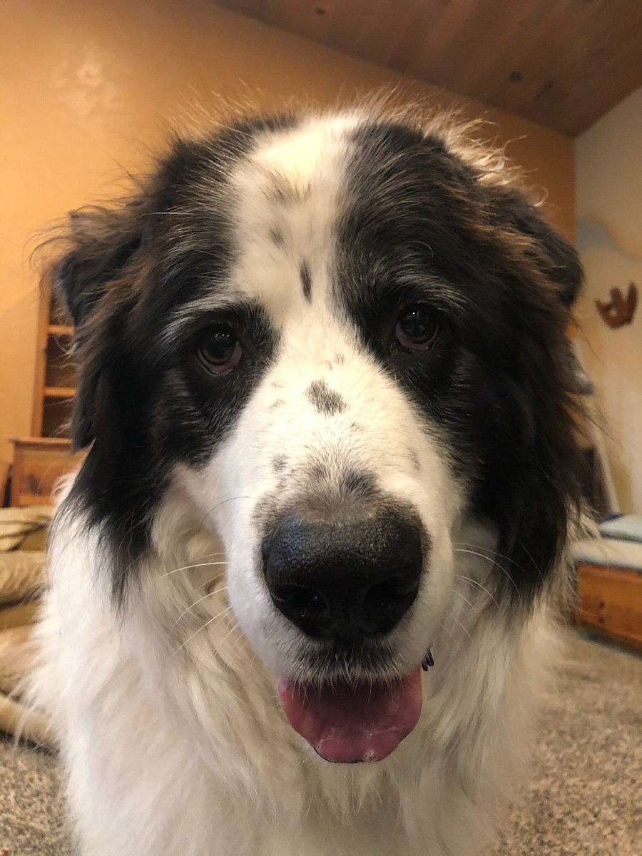 asapskeep's tweet image. 