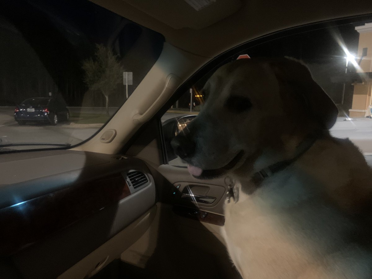 Scene30A's tweet photo. Steve going for a ride. https://t.co/vVzA0mgPU8