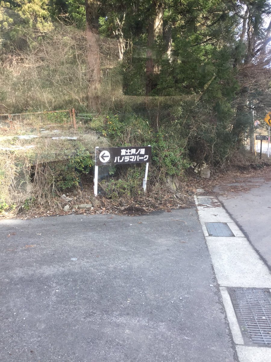 madpenis's tweet photo. 廃スキー場を散歩してたら身の危険を感じるデカさの猪にあって逃げたw https://t.co/QUOaO21tYe