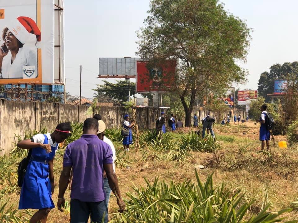 yakisawyerr's tweet photo. 4 schools start our countdown to #1million trees in 2020! 70 trees planted to replace trees from 2019 tree planting drive. The schools are determined to ensure the new trees survive dry season! Main #FreetownTheTreeTown planting will be done at the start of the rainy season. https://t.co/cUCbvhfIEX