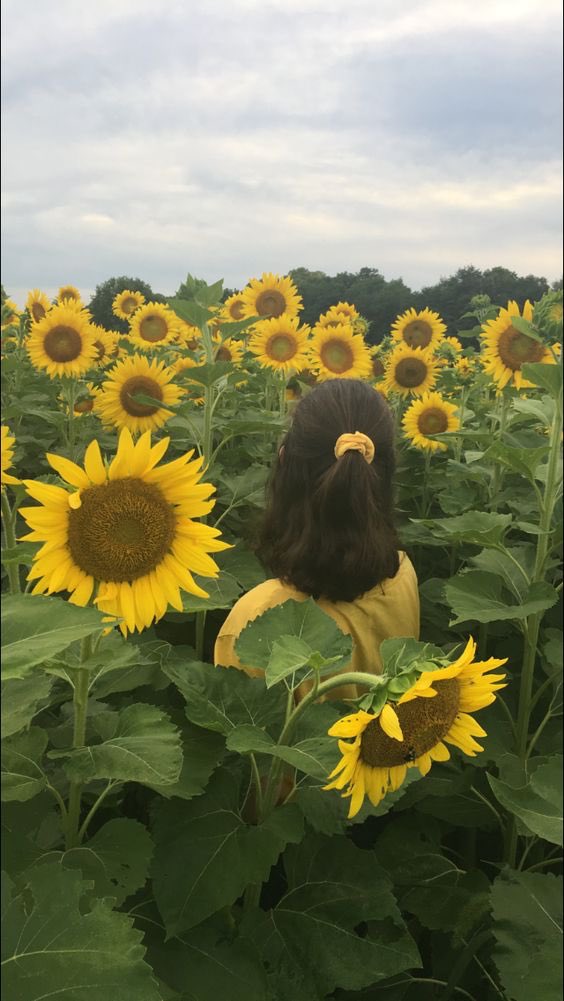 quote_aesthetic's tweet photo. If you can’t find the sunshine, be the sunshine. https://t.co/By81KyIjY7