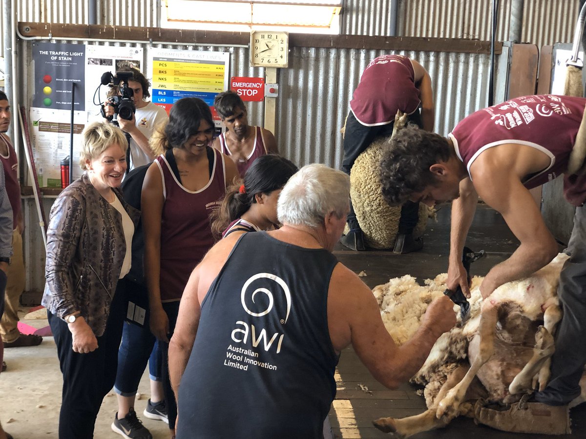 woolinnovation's tweet photo. WA Agriculture Minister @AlannahMac  visiting the Mhunga Whalla shearing school in Northampton.  Thanks to AWI Shearer and Wool Handler trainers Kevin Gellatley and Amanda Davis. @sheepsback @SheepCollective @WAFarmers @WAPastoralists @NationalFarmers  @steven_bolt4 @SBJsheepo https://t.co/X3Y2332Aii
