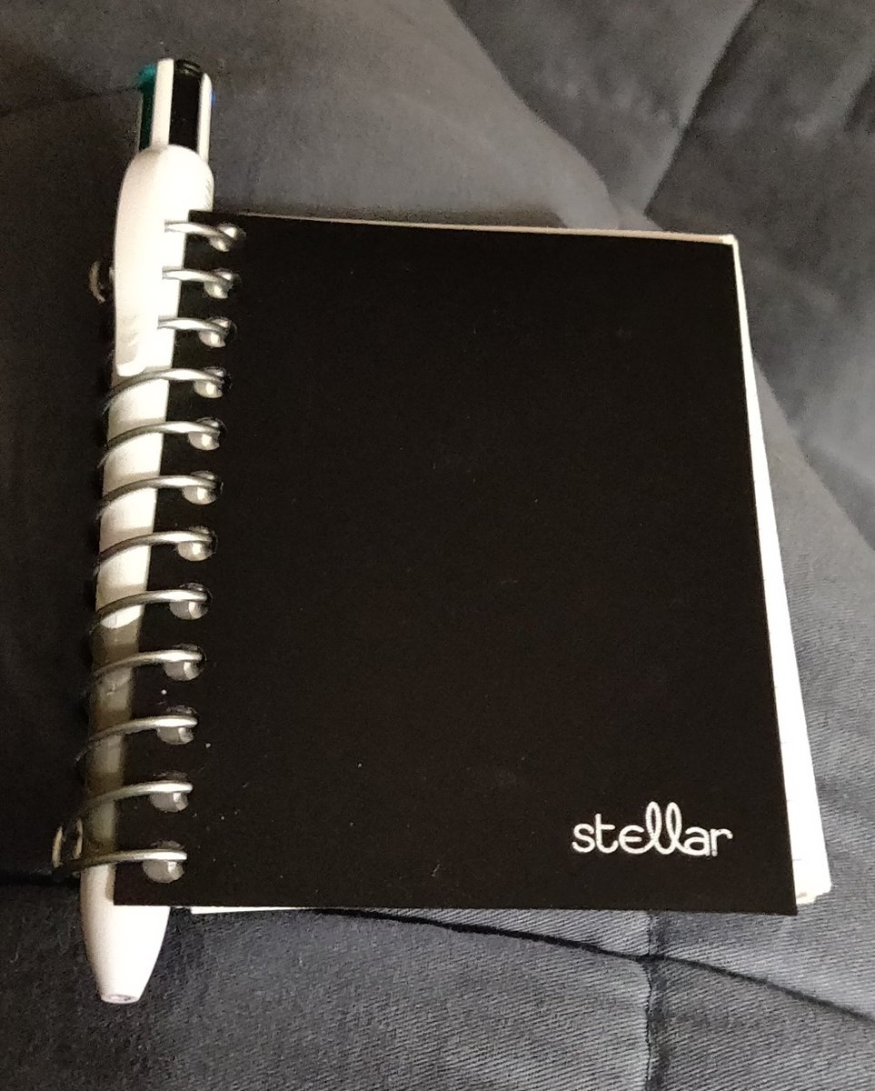 kellywellread's tweet photo. I just found a mini notebook in my nightstand with some semi-coherent book review language, so apparently I have been writing book reviews while I sleep 😳 #SleepWriting ✍️📓 https://t.co/AxYoVwEUkc