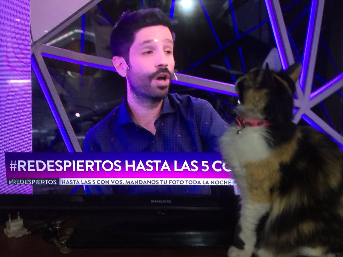 Mactortas2Maria's tweet photo. #ReDespiertos https://t.co/LdYs0gkPQy