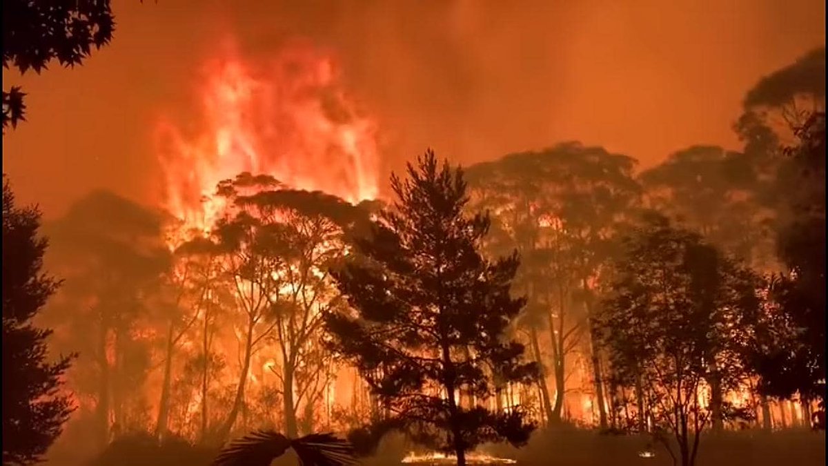 Like all our fellow citizens our thoughts and prayers go out to the families and communities who are so severely impacted by the bushfires. The devastation across Australia is incomprehensible. here's what we are doing! #bushfirecrisis #australianbushfires linkedin.com/company/instit…