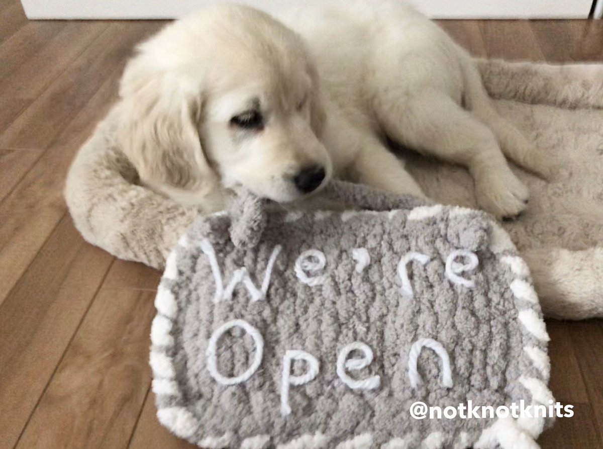 notknotknits's tweet photo. ✨We’re open✨ It’s official...our little shop is finally open! Come on by and see our #humblebeginnings We will have frequent shop updates. Shop link in bio. #wereopen #newshop #goldenpuppy #GoldenRetriever https://t.co/dPLrQhvpY4