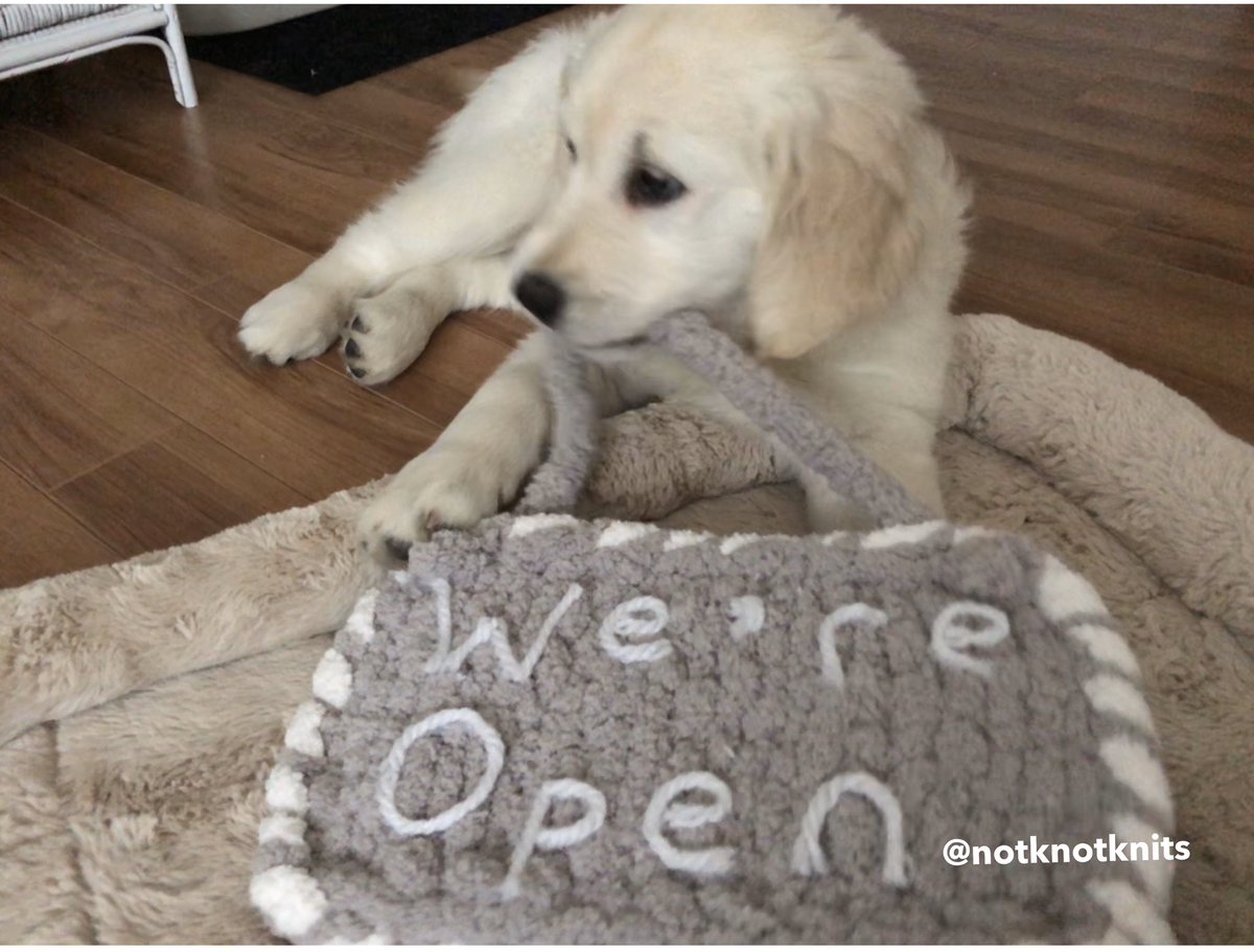 notknotknits's tweet photo. ✨We’re open✨ It’s official...our little shop is finally open! Come on by and see our #humblebeginnings We will have frequent shop updates. Shop link in bio. #wereopen #newshop #goldenpuppy #GoldenRetriever https://t.co/dPLrQhvpY4