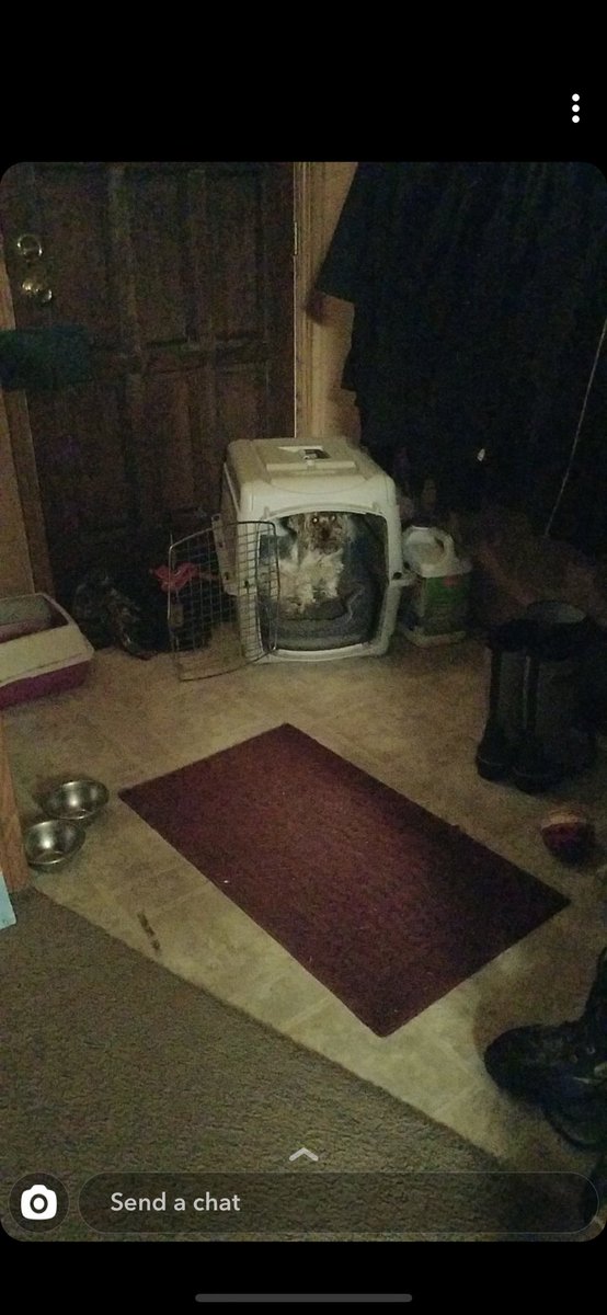 lathrop_madison's tweet photo. Lewy tried to get in the garbage so he put himself in timeout https://t.co/IrkSUHcaNB