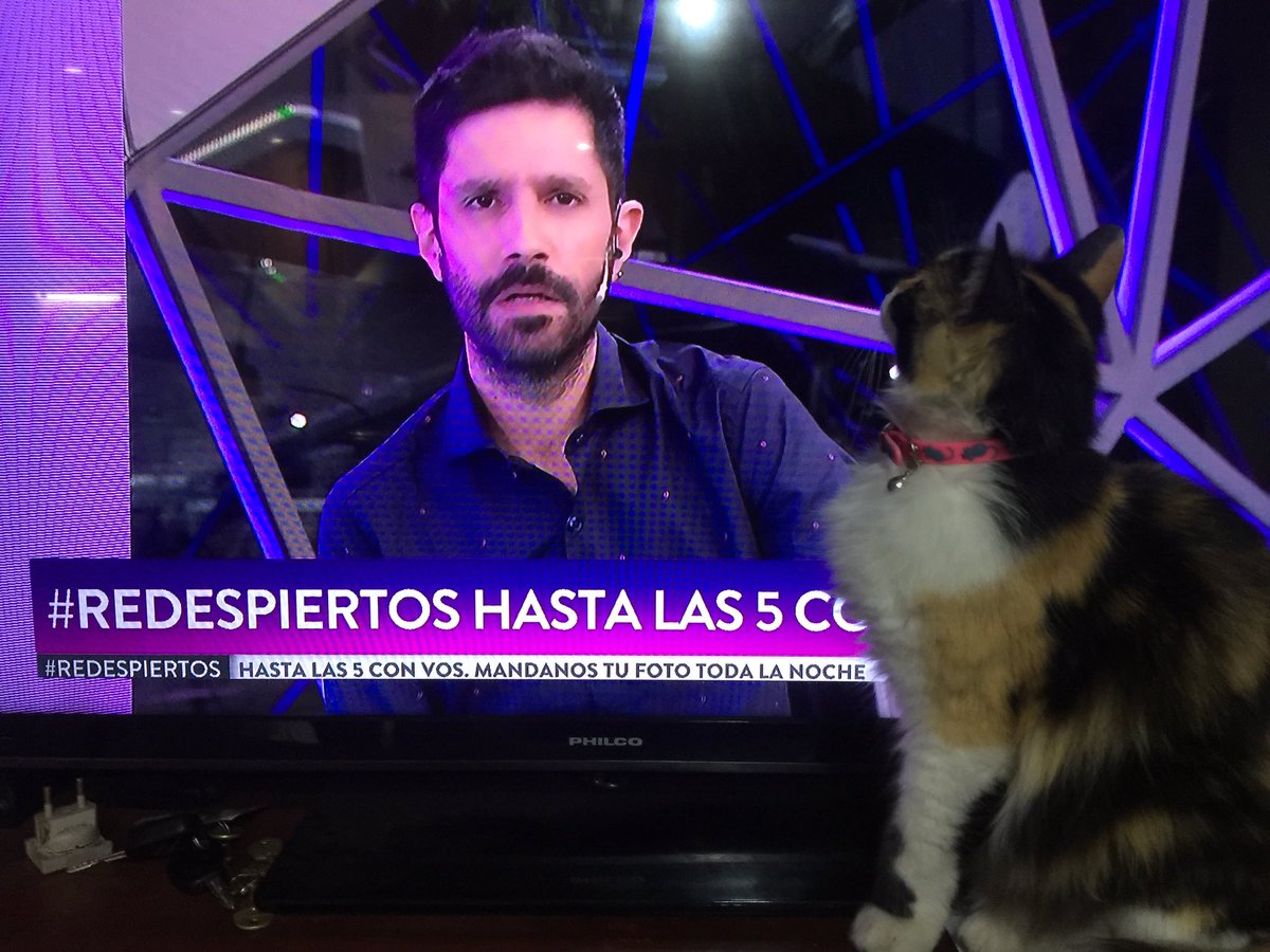 Mactortas2Maria's tweet photo. #ReDespiertos https://t.co/QuTIXTcrZz