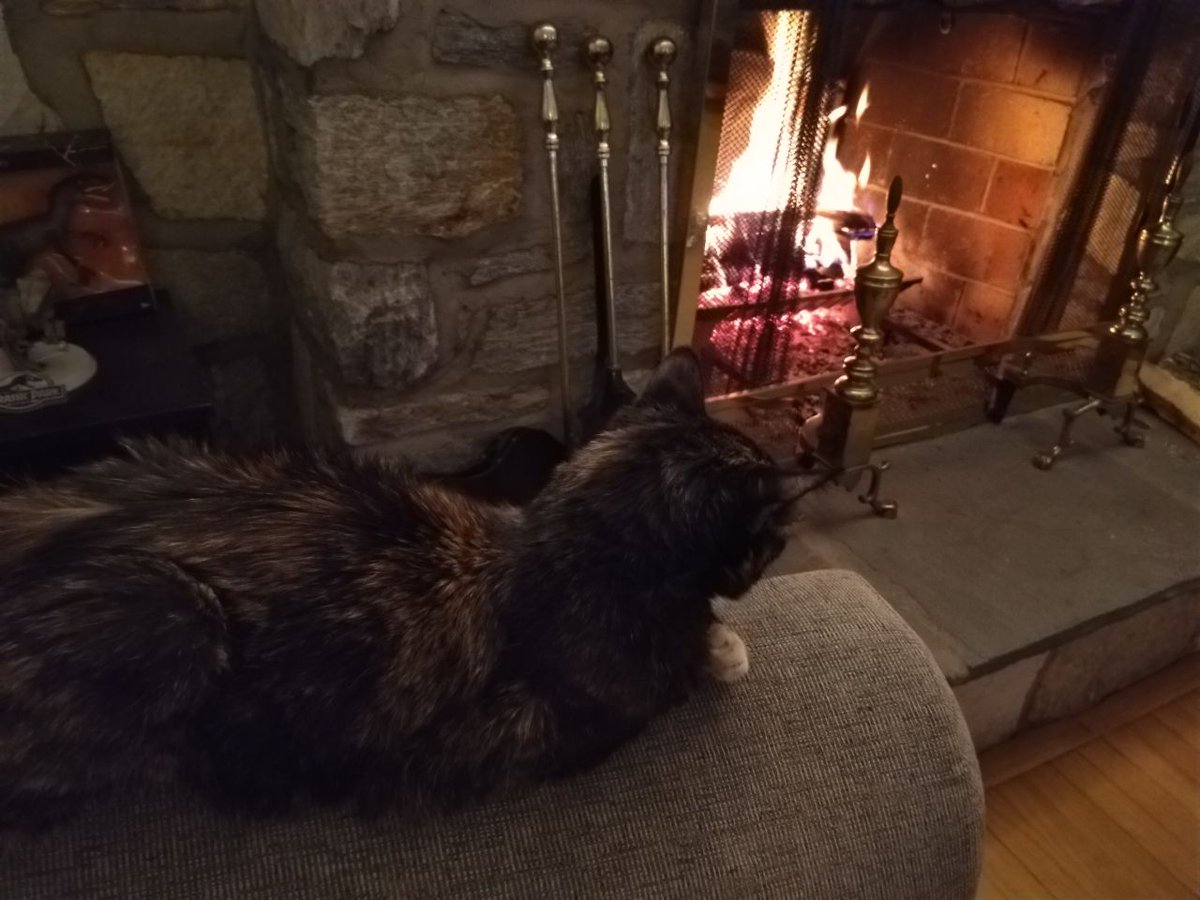 gideonscorral's tweet photo. And who DOESN'T need a little Casey time by the fire. #caseyface I wish I was gone with her tonight, always miss her when I travel to cons. https://t.co/WouQTj2GTB