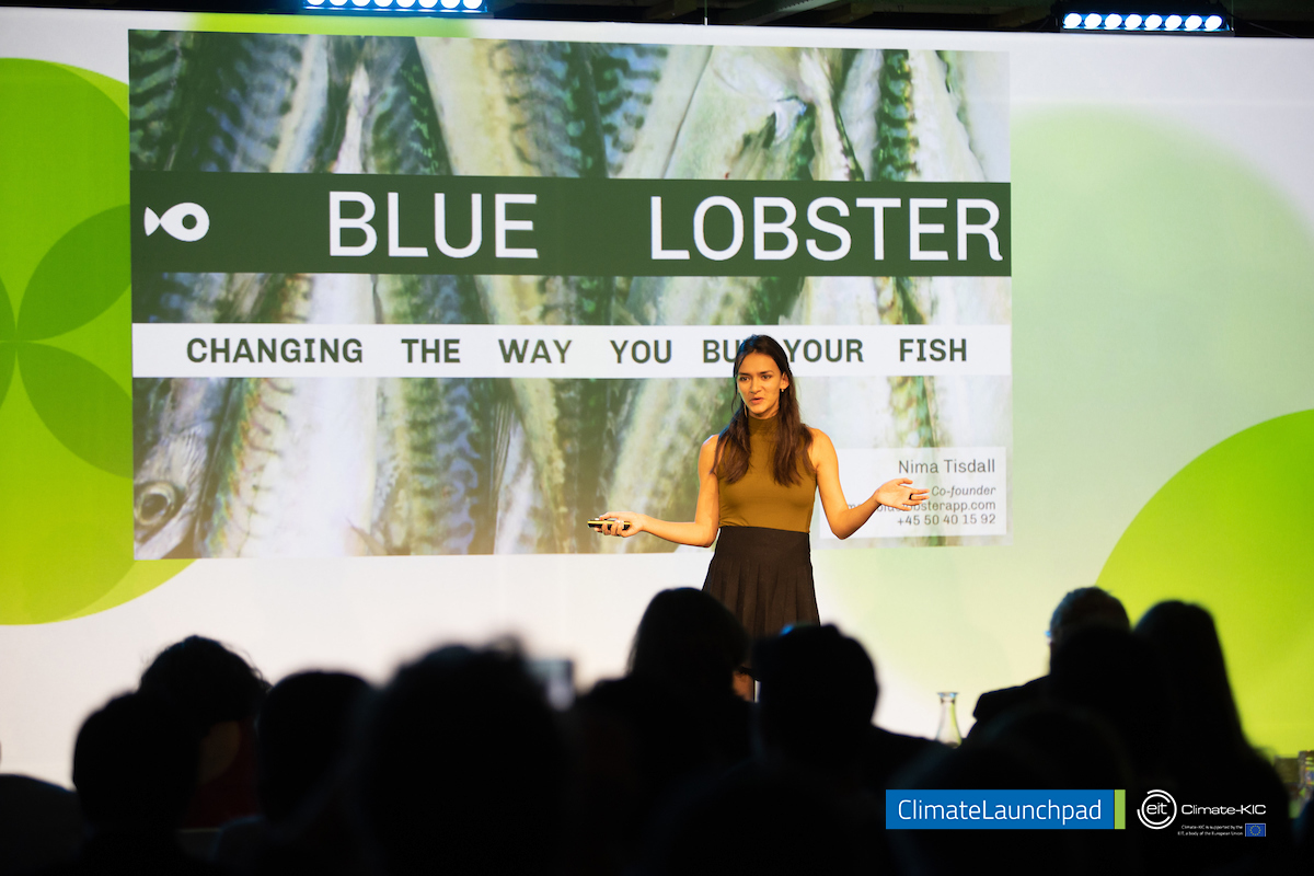 ClimateLaunch's tweet photo. Applications for #CLP20 are officially open and they're coming in fast. Get a glimpse of our #CLP19 #winners for some #climatechange tackling inspiration :): https://t.co/JDH3vWNIJB
💧♻🌱🌿🌎 
#themeawards #top16 #applications https://t.co/ixlCFD5e3W