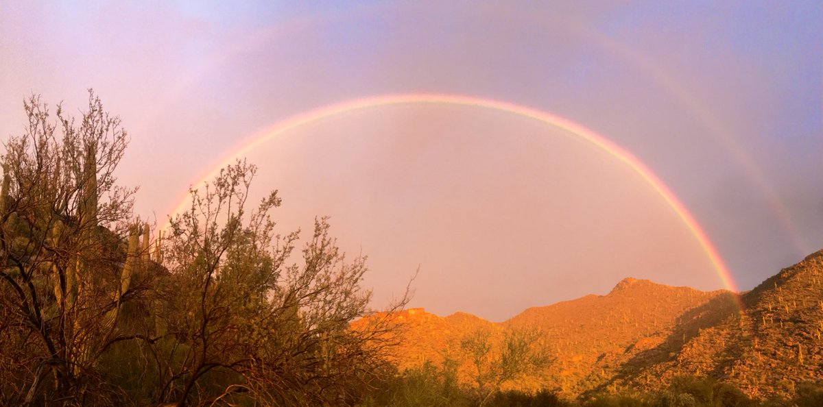VLSorrellImages's tweet photo. After an all-day #AUC20 conference with talks from new members, it was great to get out in Nature and spend a bit of quiet time. And Nature was at her Tucson best! @rajdoc2005 @DrMarthaGulati https://t.co/dsexzNrK2I