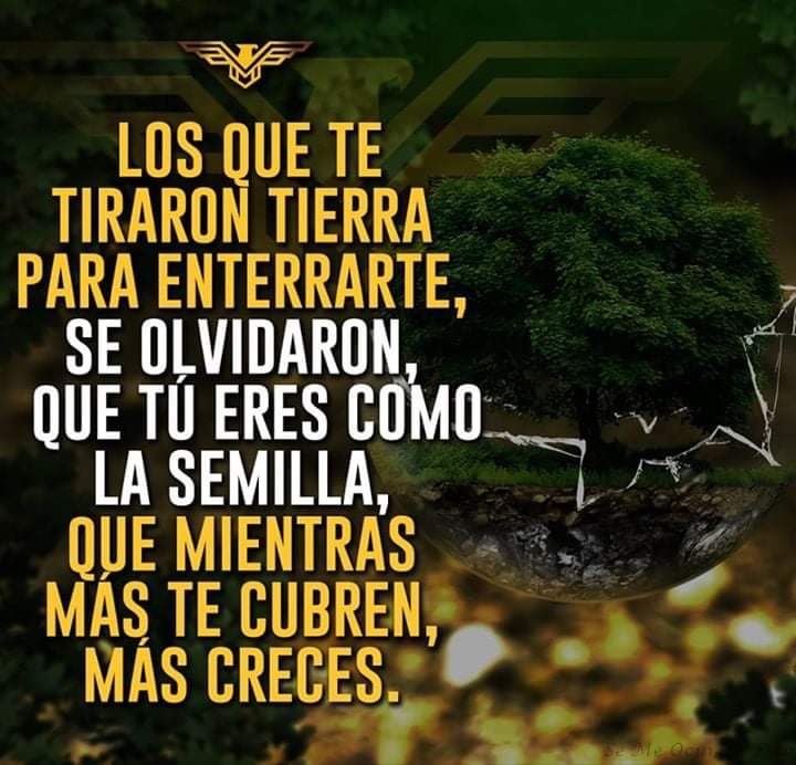 !KevinColomna ツ tweet media