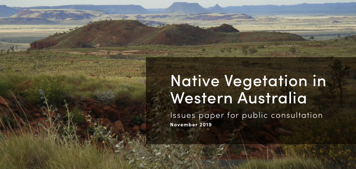 Richard McLellan  / kaarnka (raven/crow - Martu) tweet media