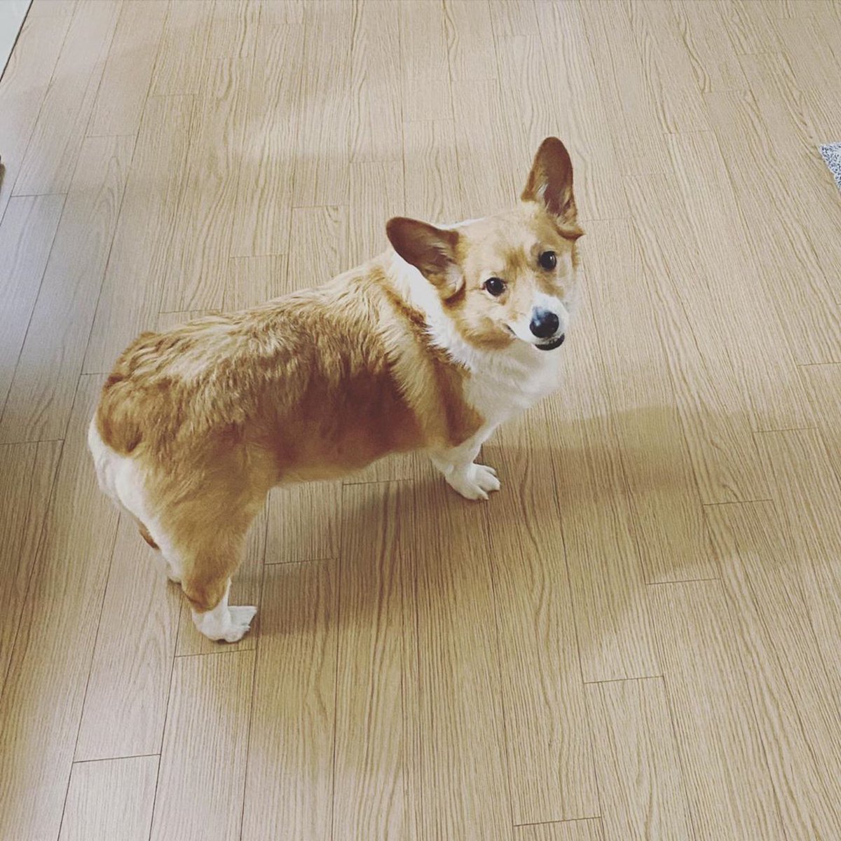 knockknock0408's tweet photo. BAEKHYUN ins
@weareoneEXO https://t.co/kwPqXCT93M