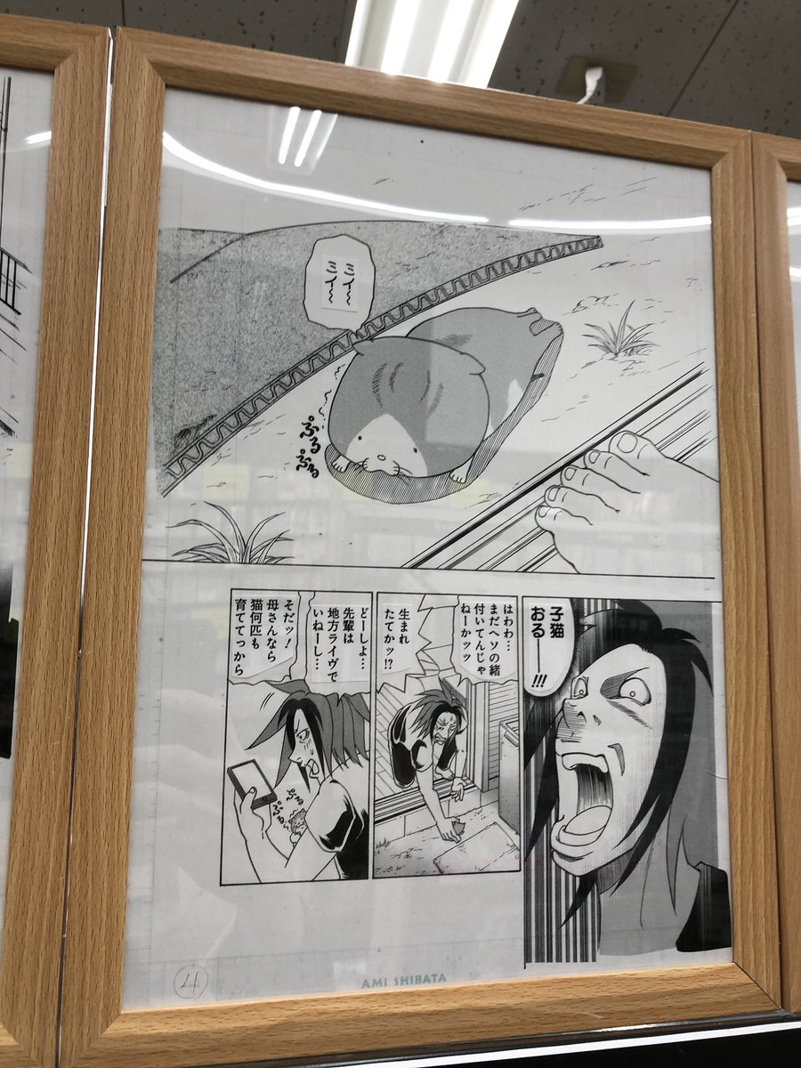 Tsutaya町田木曽店 ねこまきさんの癒される複製原画 まんが ねこねこ横丁 東京かんばん猫 ホーム社刊 1月いっぱい展示中 展示作品には 神保町の 猫本専門書店 にゃんこ堂 が登場 当店にて販売中の にゃんこ堂さんオリジナルグッズと Tsutaya町田木曽店 ねこまきさんの癒される複製原画 まんが ねこねこ横丁 東京かんばん猫 ホーム社刊 1月いっぱい展示中 展示作品には 神保町の 猫本専門書店 にゃんこ堂 が登場 当店にて販売中の にゃんこ堂さんオリジナルグッズと