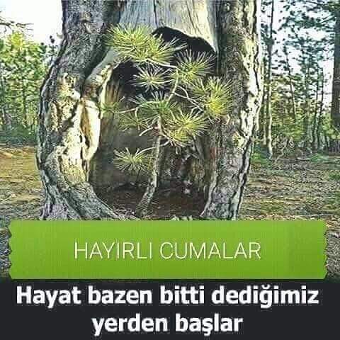 hayırlı cumalar