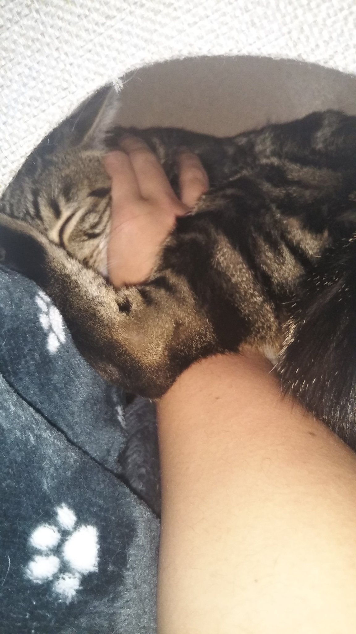 ももはな Bl0q9g6xwnr13my Twitter