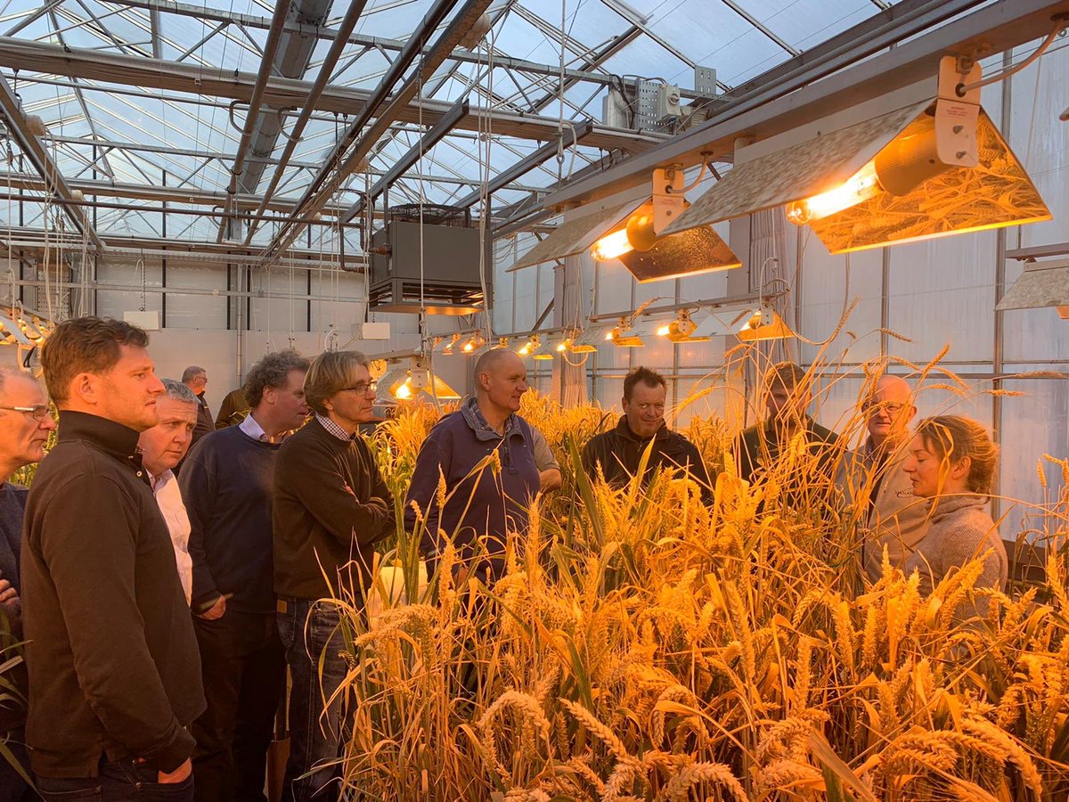 GrainCo tweet media