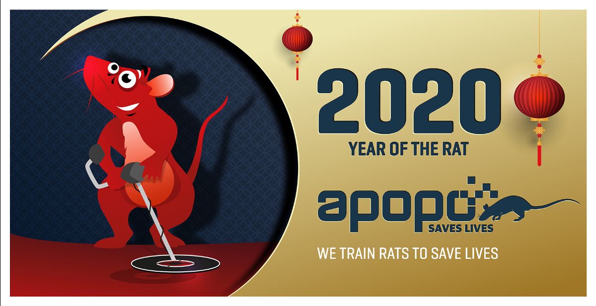 herorats's tweet photo. 2020 is the Year of the Rat. Across the world, people are preparing for the start of the Chinese New Year (Jan 25th). Today marks the start of New Year preparations, known as 'Little Year'. We're making our own preparations too.

Join us on our journey: https://t.co/NG2Ay01xyi https://t.co/rq2KbBYgZa