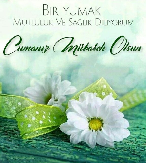 utkuycetrn's tweet photo. https://t.co/tvtPA5oU0x
