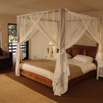 Photo by Plett Game Reserve (@PlettGameRes)