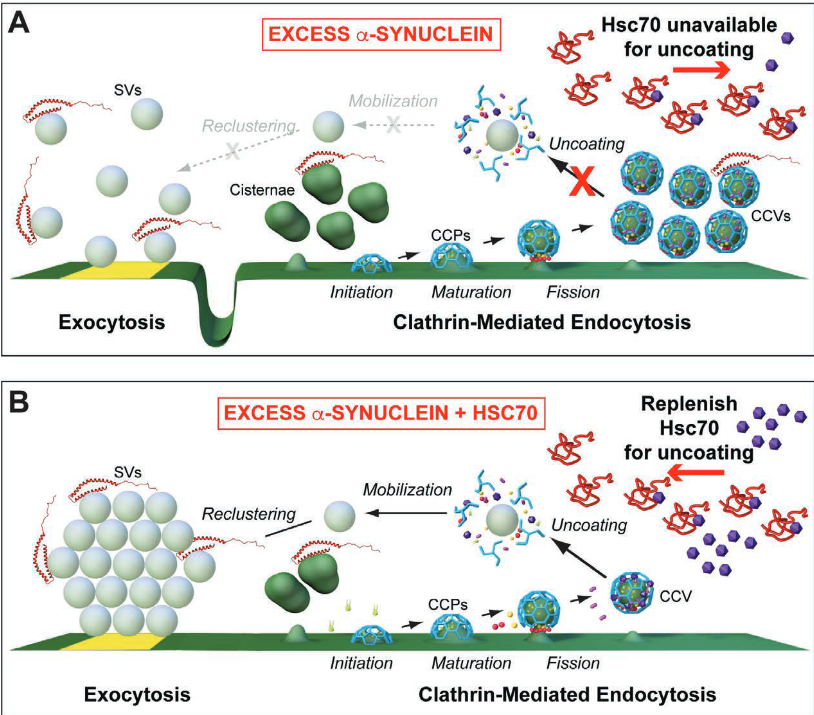 The Science of Parkinson's tweet media