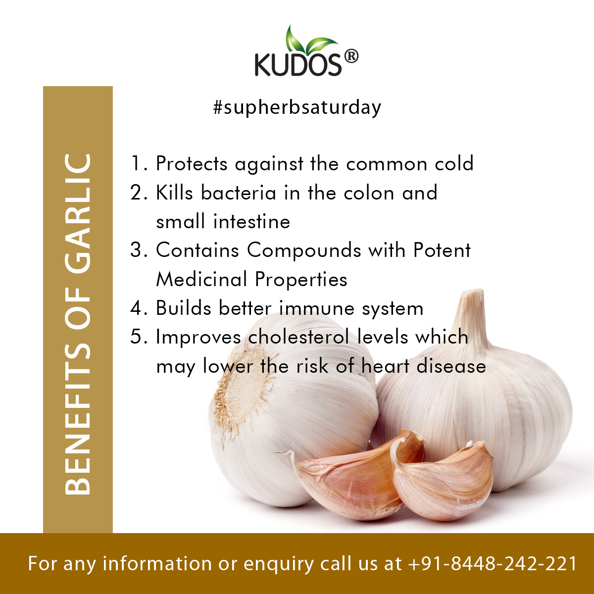 Garlic health benefits are plenty. Start eating it! #Garlic #Dinner #Bread  #PlantMedicine #GarlicVine #Nature #Recipe #Vegetarian #GingerRoot #Healthy  https://t.co/GEW4EE137Y, image size:1200x1200