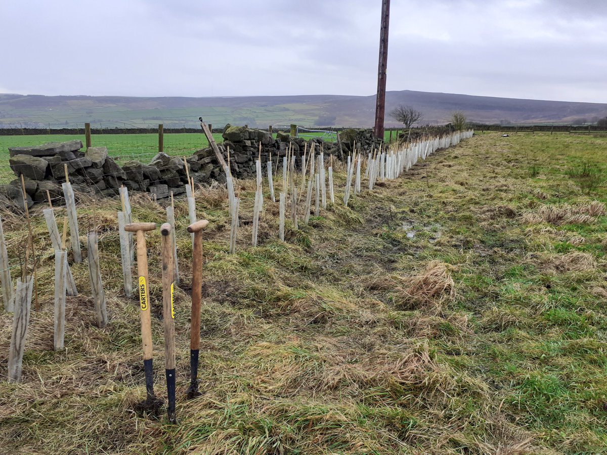 CLKirklees's tweet photo. Great morning planting trees with @riverholmeconnections. #learning #hedgerow #coldbuthappy thanks Andrew for organising. Thanks the CLEAR outdoorsy gang! https://t.co/2E3HQJdEXE