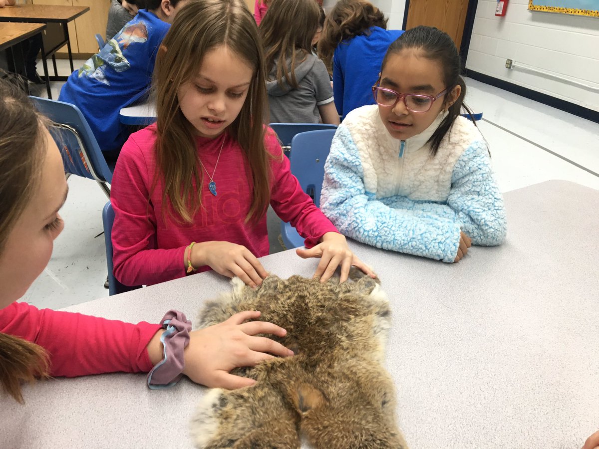 ThoreyEllis's tweet photo. The students enjoyed learning more about animal adaptations from @DiscoverMCCD.  @HSDHurricanes https://t.co/oNwQb1AksB
