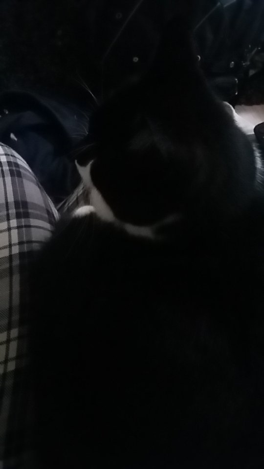 Clawdore tweet media