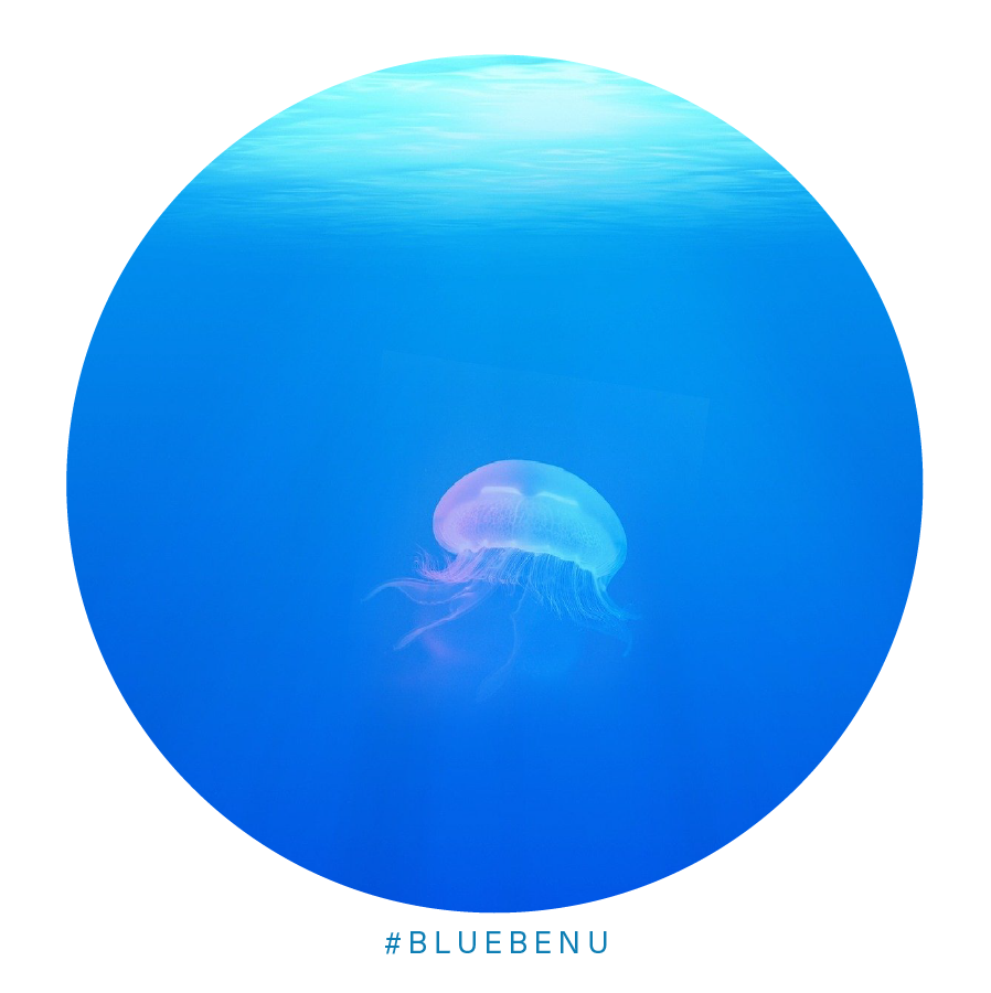BlueBenu's tweet photo. Research suggests that 52% of the world’s turtles have eaten plastic waste.

The reasons are simple: a floating plastic bag can look like a lot of jellyfish, algae, or other species that make up a large component of the sea turtles’ diets.
#plasticpollution #savetheearth #plastic https://t.co/EHuF6WUppS