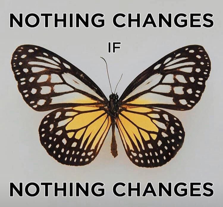the_reinvented's tweet photo. Take action if you want results #nowayaroundit #embrace #change #reinvent #caterpillar #butterfly https://t.co/oeerOkB56f