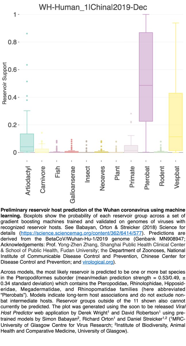 Daniel Streicker (@danielstreicker) on Twitter photo Genomic machine learning by <a href="/CVRinfo/">MRC-Uni of Glasgow Centre for Virus Research</a> and @IBAHCM supports the suspected bat origin of the novel Wuhan coronavirus, but cannot rule out intermediate hosts. See science.sciencemag.org/content/362/64โฆ for algorithm details. Thanks to Fudan University, CDC China and <a href="/virological_org/">Virological Posts</a> for the data Genomic machine learning by <a href="/CVRinfo/">MRC-Uni of Glasgow Centre for Virus Research</a> and @IBAHCM supports the suspected bat origin of the novel Wuhan coronavirus, but cannot rule out intermediate hosts. See science.sciencemag.org/content/362/64โฆ for algorithm details. Thanks to Fudan University, CDC China and <a href="/virological_org/">Virological Posts</a> for the data