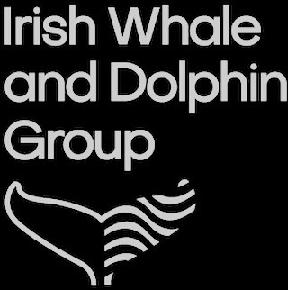ucdsubaqua's tweet photo. Attention‼️🔱 The Irish Whale and Dolphin Group are holding stranding response workshops over the next month🐳 €30 for members💶
€50 for non-members💸
This is a fantastic course for anyone who loves marine mammal biology🐬🌊 For more info check out thi… https://t.co/Fbq9dDQ61O https://t.co/IGfPxihu6v