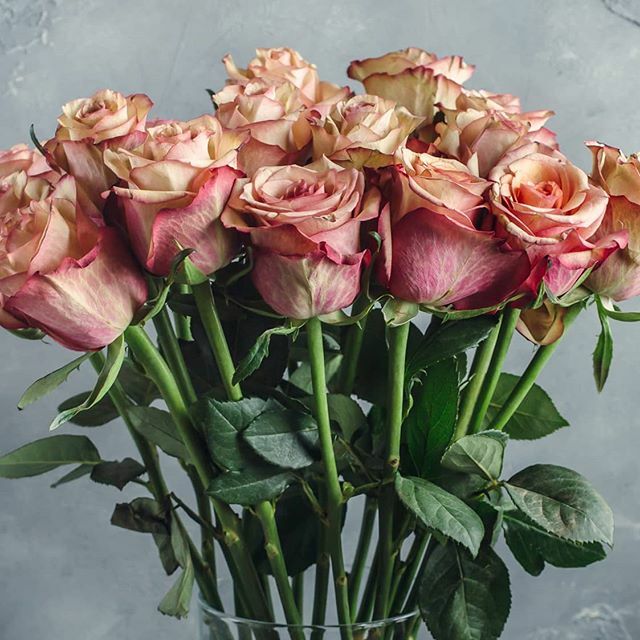 Spoil the love of your life to a Romantic Dinner on Friday, 14 February '20 for R900 per person including bubbly on arrival, live entertainment, 5-course meal and a gift per couple.

Romantic Spa and Stay Packages available from R2650 per couple

See website for full details…