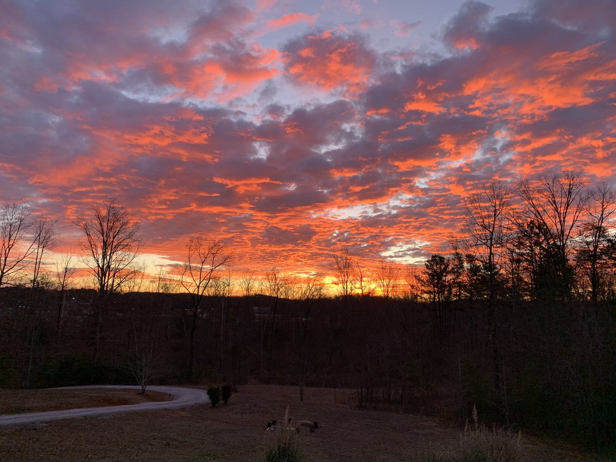 Tim Huggins tweet media