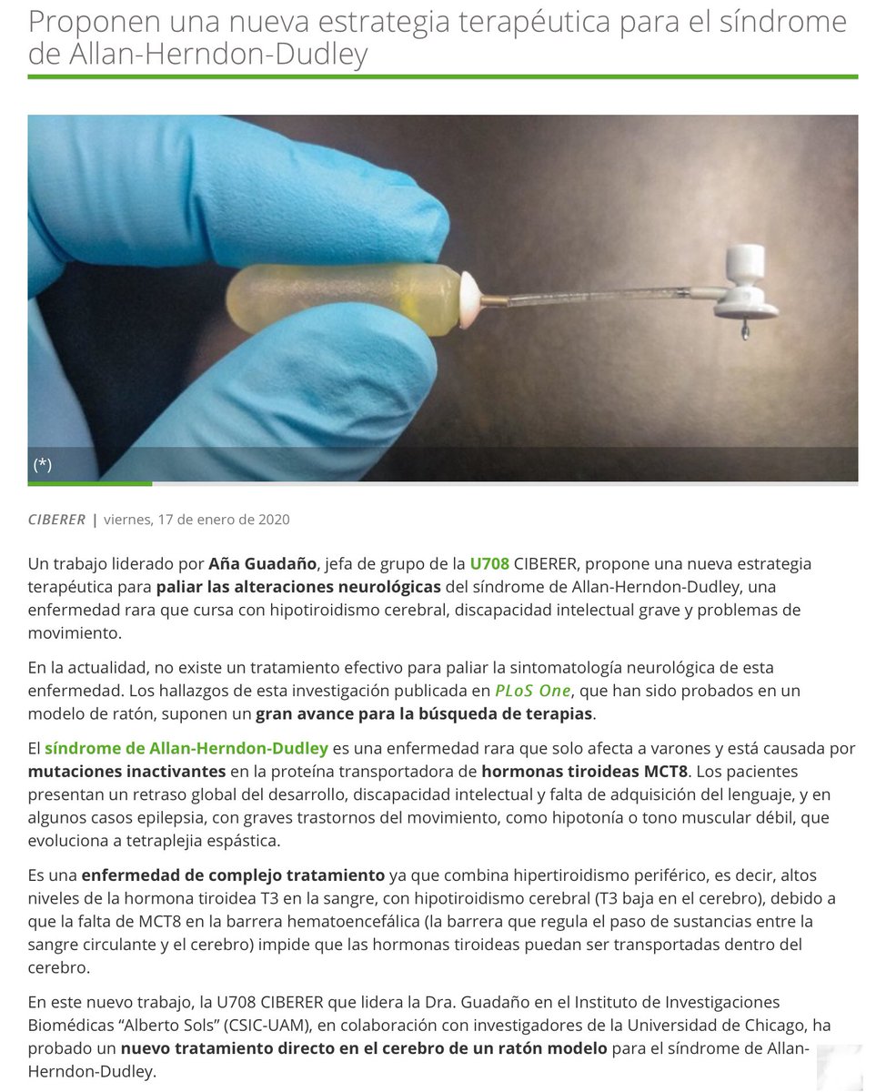NoInvisibles's tweet photo. Desde #U708 @CIBERER nueva estrategia terapéutica para el síndrome de Allan-Herndon-Dudley #MCT8 , una enfermedad rara q solo afecta a varones y produce alteraciones neurológicas, y q no tenia tto. y q publica @PLOSONE 👏👏
Gr. @ThyroidLabIIBM @IIBmCSICUAM
https://t.co/yV62T5n2hc https://t.co/tP95P1LfTq