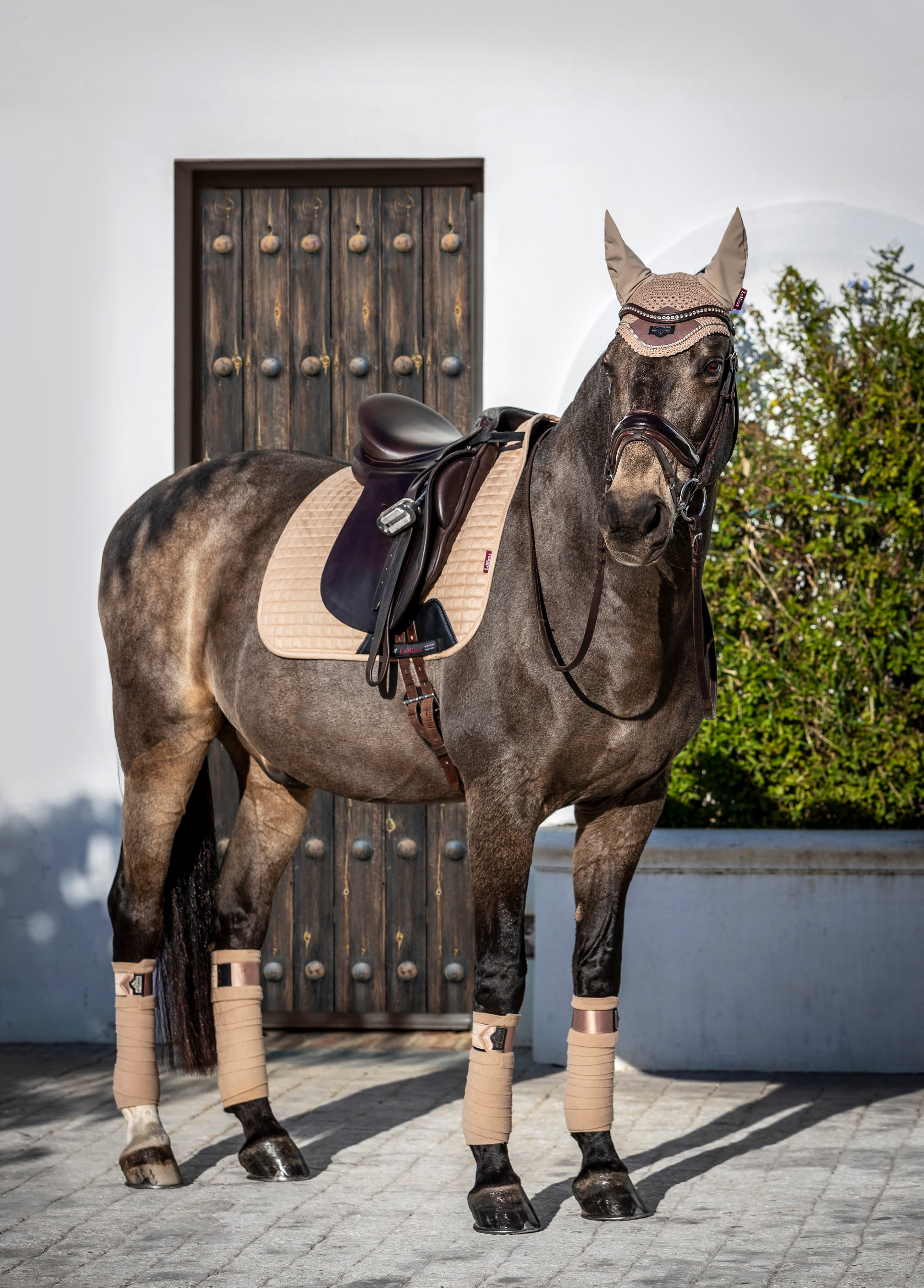 Lemieux Products Champagne The Beautiful New Spring Summer Collection From Lemieux Arriving At Horse Health And Premium Lemieux Retailers This Spring Season Lovelemieux Ss Champagne T Co Akcl0mgy2s Twitter