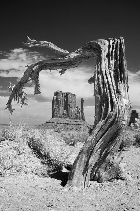 _Henk_Heijmans's tweet photo. Monument Valley, Navajo, Arizona, 2009 - by Mike Irwin, USA
#MikeIrwin
https://t.co/ICqWLen3Rl https://t.co/jDu9zqPIah