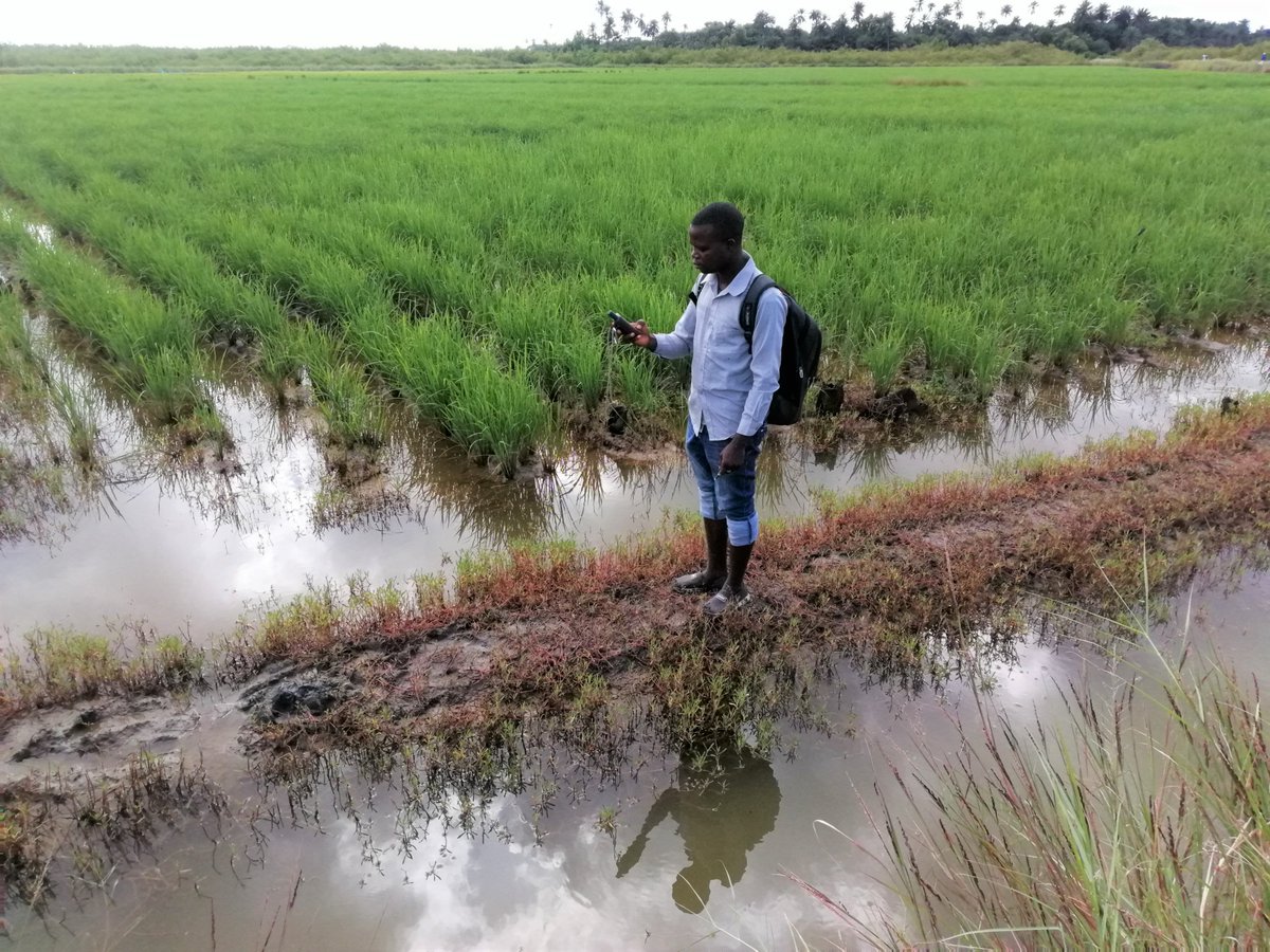 WABES_'s tweet photo. To drive #transformative_change, #ILK should be included in all decision-making processes: @IPBES #GlobalAssessmentreport.
#Delamou, assessing #ecosystemservices & #traditionalknowledge associated with Kapatchez Delta, Guinea.
@iki_bmu @ZEFbonn @WetlandsAfrica https://t.co/q0LjggfKwz