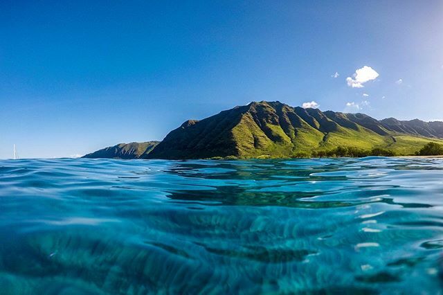 saltycures's tweet photo. #TBT - I think I’m due for another morning with views like this 😍 #welcomebacksunshine #hawaii #saltycures
📸
https://t.co/1cJo2w4tOu
📸
#blue #ocean #paradise #deepblueocean #aloha #hawaiian #hawaiilife #hawaiistagram #hilife #ig_oahu #ighawaii #inst… https://t.co/7Fh9K68XCw https://t.co/1DqruVZZxd