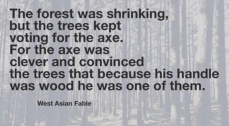 ㋡H୧M☧.F⨻RဣER㋡ tweet media