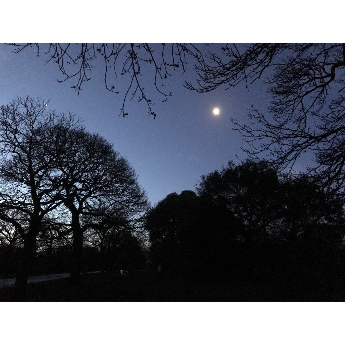 GGSparkes's tweet photo. #nofilter #jogbeforework #greenwichpark looking for the moon #halfmoon #halfmood ππ«π Love this time π€ #lovethispark @MisterGreenwich @GreenwichHour @GreenwichLon @GreenwichPkCafe @greenwichparkc3 @BlackheathSoc https://t.co/WT3AV4vLut