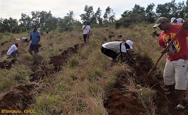 Participation de l'équipe du KMCC #Ambanja pour le Reboisement de 30 ha de surface a #Sakaramy #Antsiranana #Madagascar @TeamKMCC